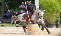 images/events/galerie1/Working Equitation (9).jpg